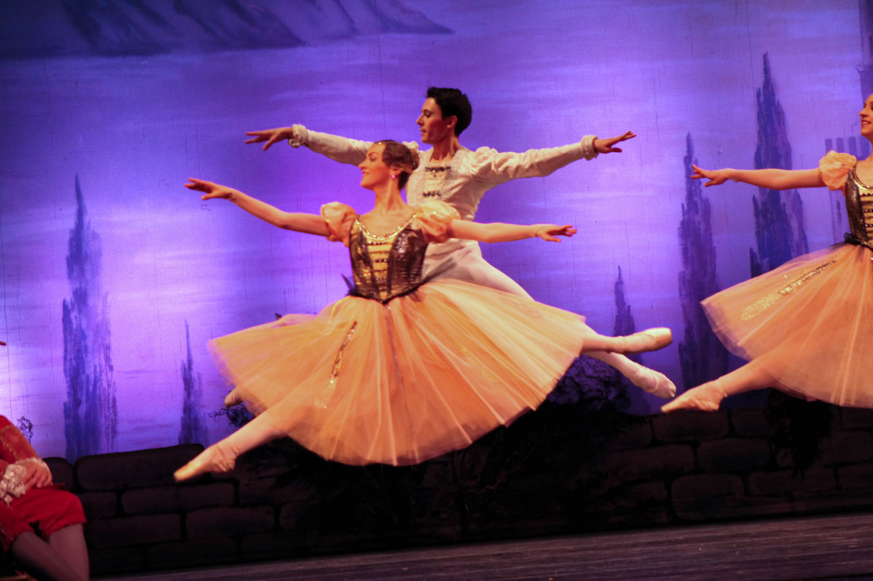 Swan Lake_prince4
